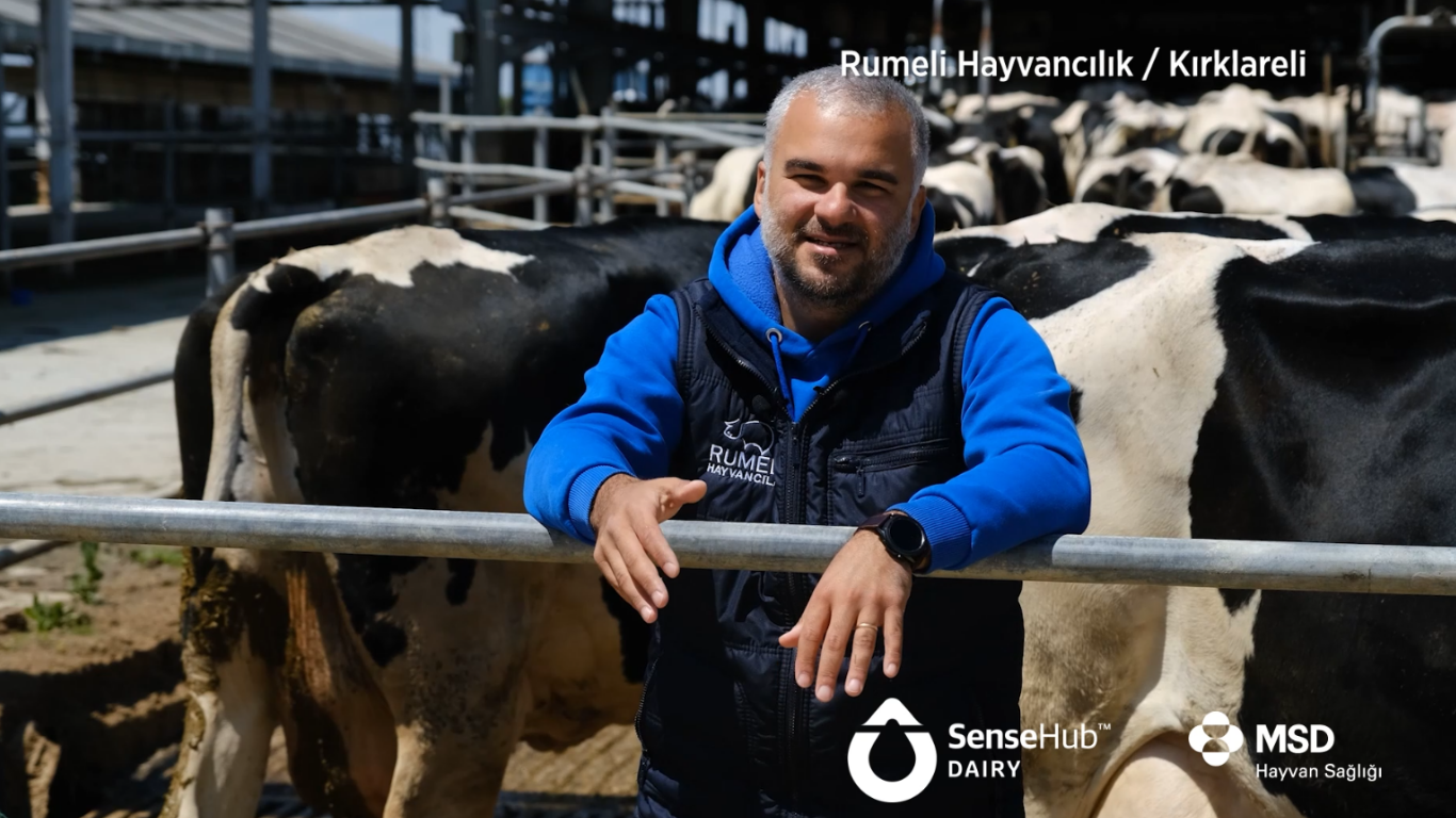 Rumeli Hayvancılık