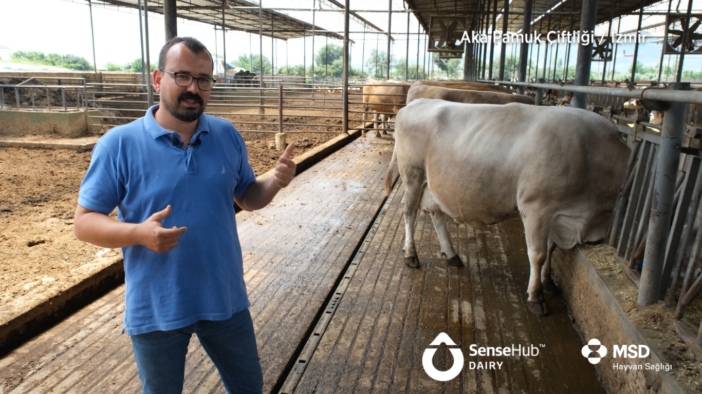 Aka Pamuk Çiftliği