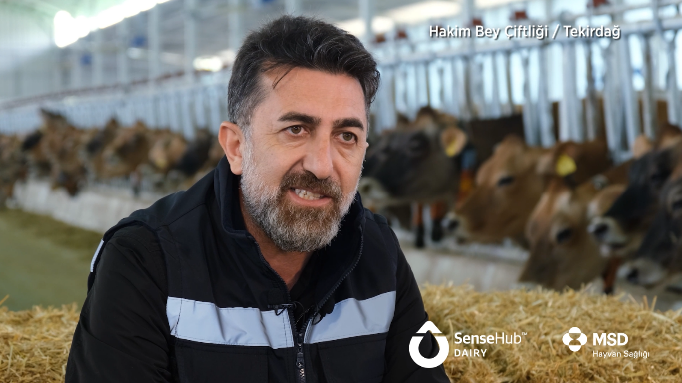 Hakim Bey Çiftliği