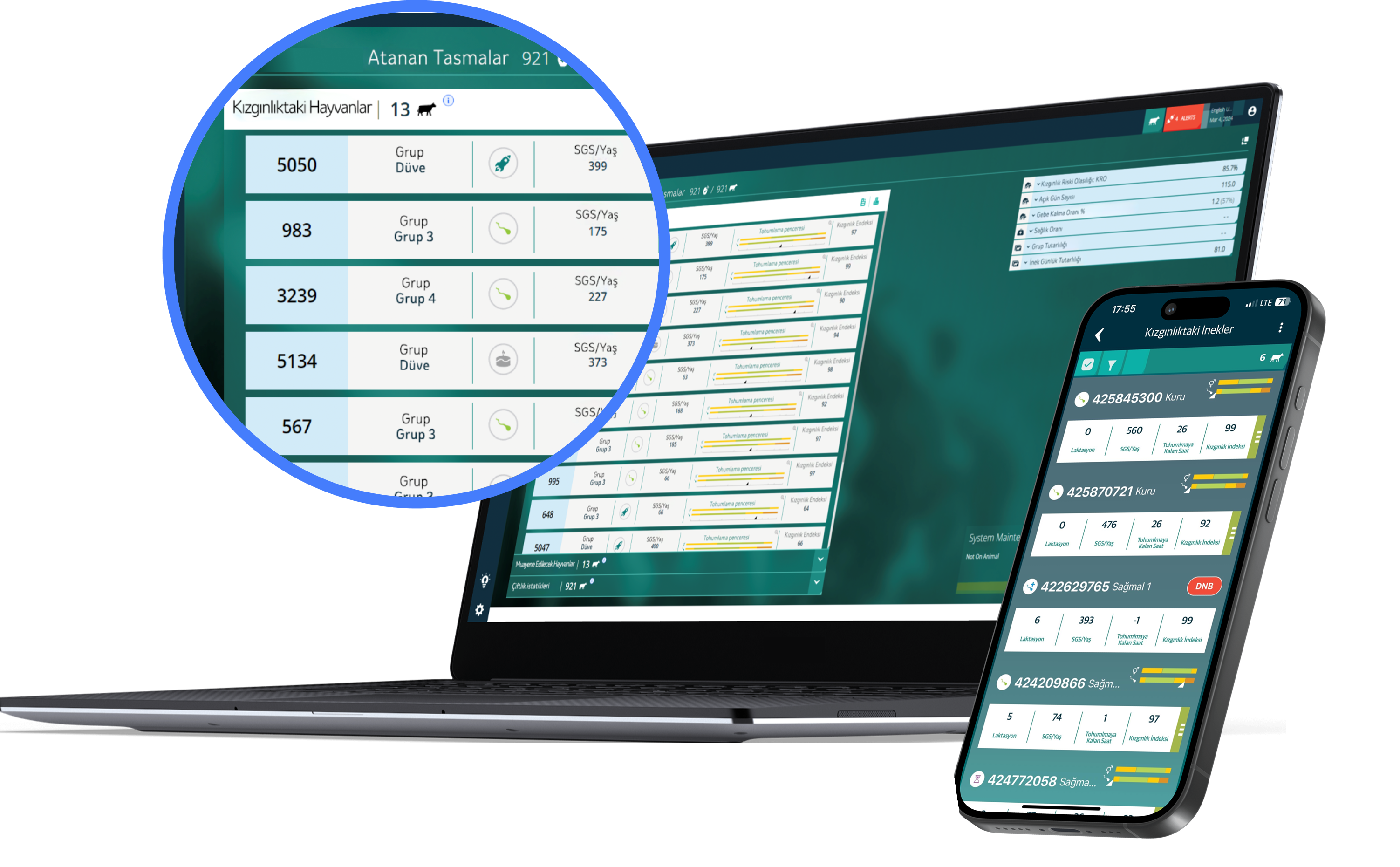 data shown on laptop and mobile devices