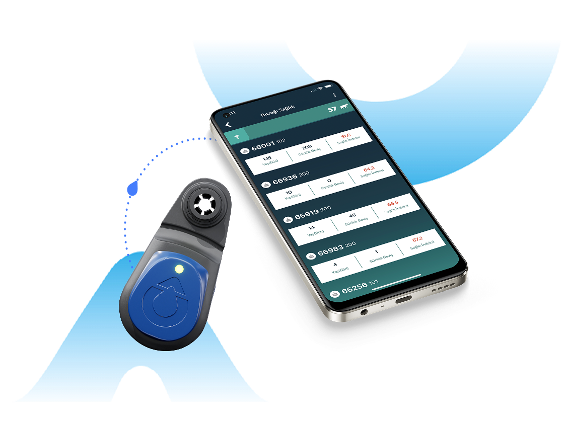 blue eartag with a mobile phone screen shows youngstock info